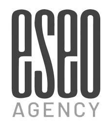 ESEO digital marketing logo