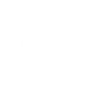 Check Icon